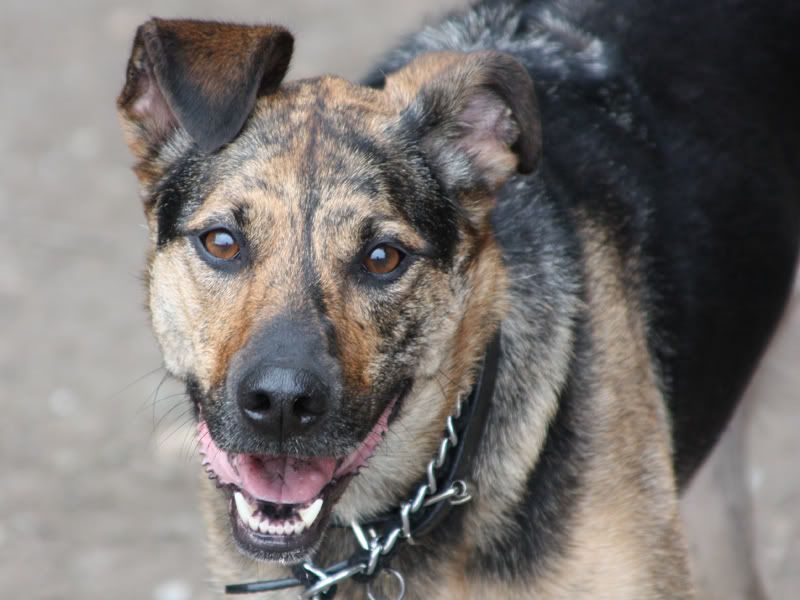 IMAGE: http://i284.photobucket.com/albums/ll21/joe_incognito/More%20random%20Crap/Dorie_2.jpg