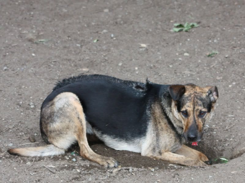 IMAGE: http://i284.photobucket.com/albums/ll21/joe_incognito/More%20random%20Crap/Dorie_3.jpg