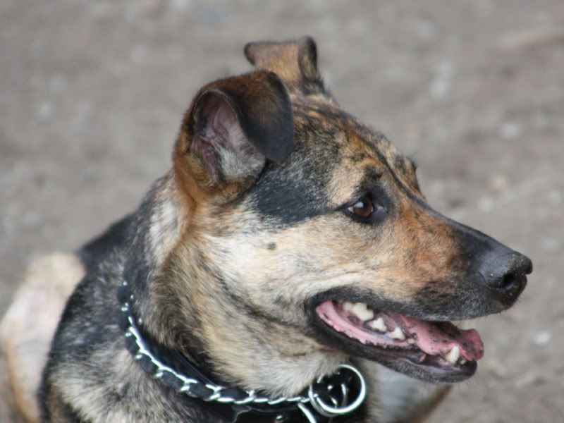 IMAGE: http://i284.photobucket.com/albums/ll21/joe_incognito/More%20random%20Crap/Dorie_4.jpg