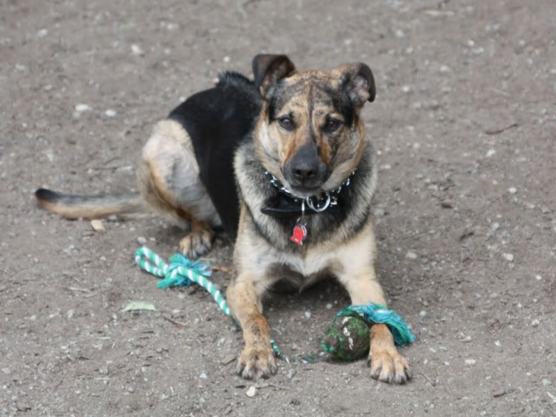 IMAGE: http://i284.photobucket.com/albums/ll21/joe_incognito/More%20random%20Crap/Dorie_5.jpg