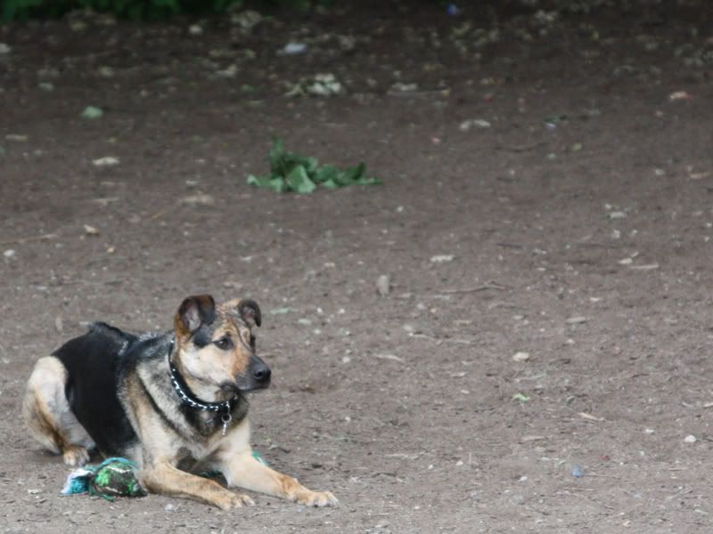 IMAGE: http://i284.photobucket.com/albums/ll21/joe_incognito/More%20random%20Crap/Dorie_7.jpg