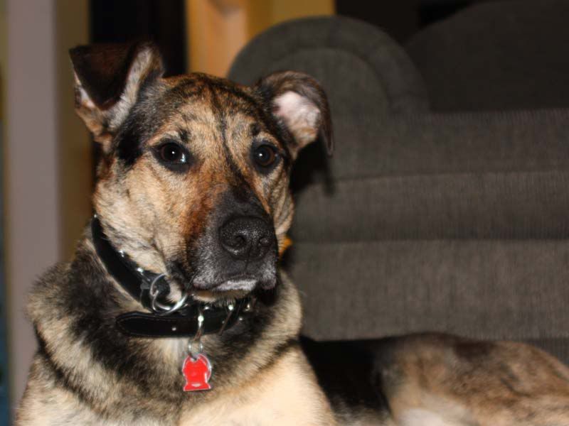 IMAGE: http://i284.photobucket.com/albums/ll21/joe_incognito/More%20random%20Crap/Dorie_8.jpg