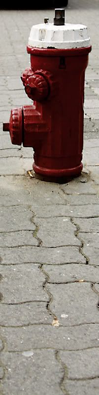 IMAGE: http://i284.photobucket.com/albums/ll21/joe_incognito/More%20random%20Crap/Hydrant.jpg
