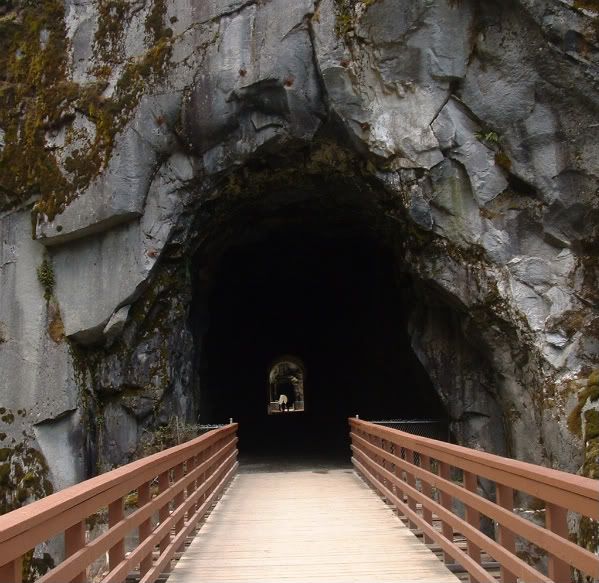 IMAGE: http://i284.photobucket.com/albums/ll21/joe_incognito/Othello-1.jpg