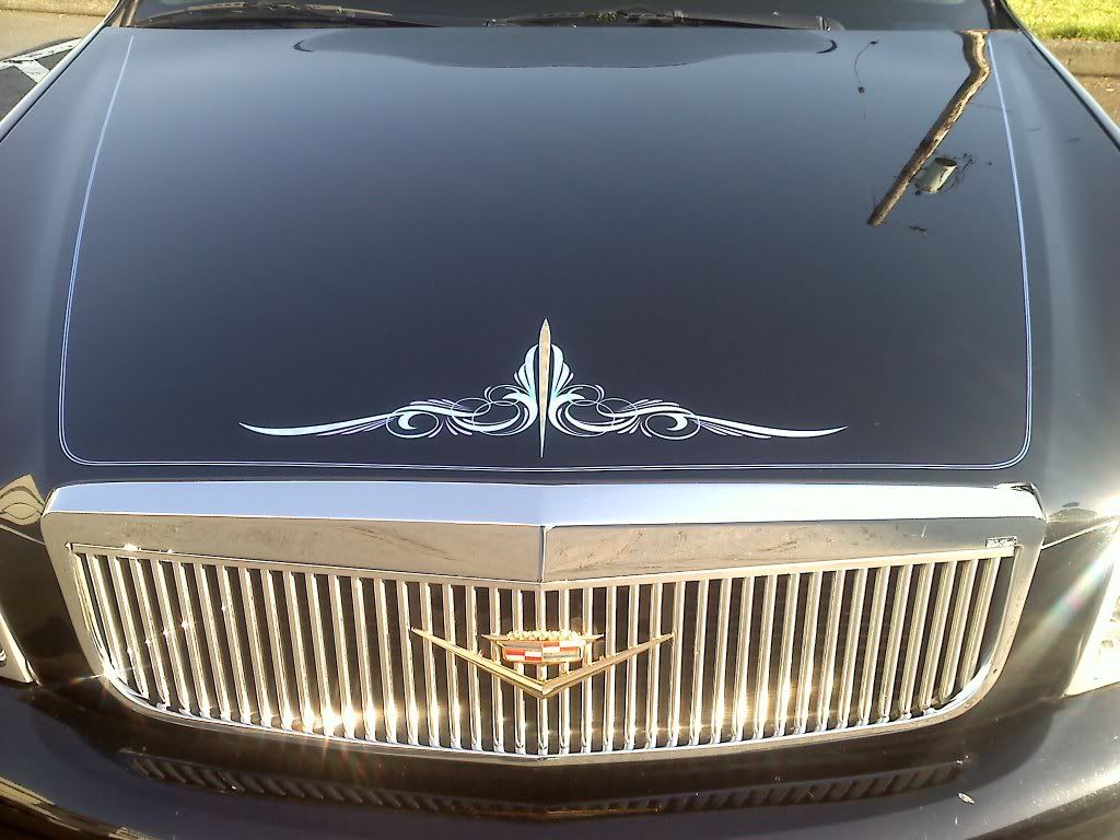 Mitch Kim Pinstriping