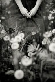 flowers Pictures, Images and Photos