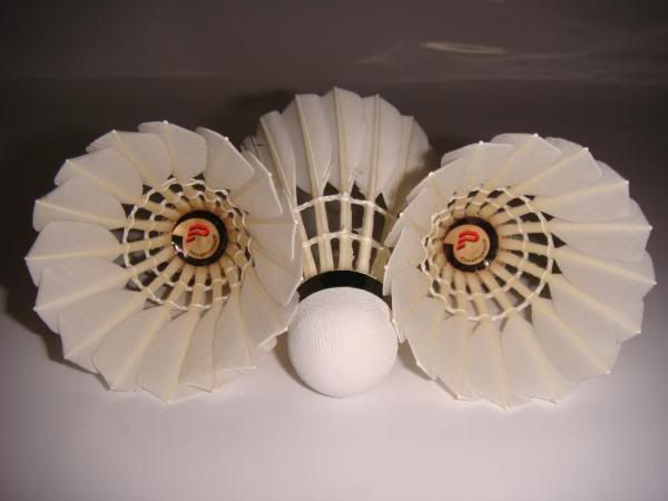 protech pt 10 shuttlecock