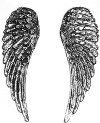 wings Pictures, Images and Photos