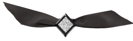 df-bow1.png picture by liznasgroups