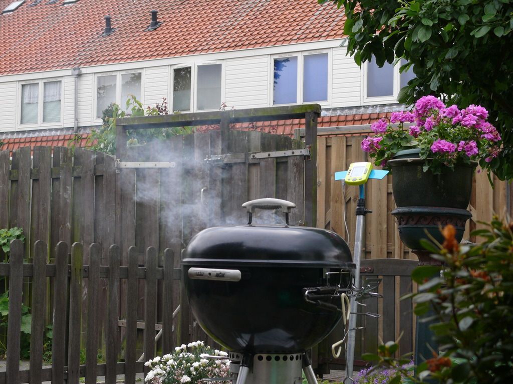 Weber%20smoke%203_zps6faaa01c.jpg