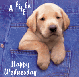 Happy Wednesday Pictures, Images and Photos