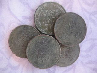 37143245.jpg