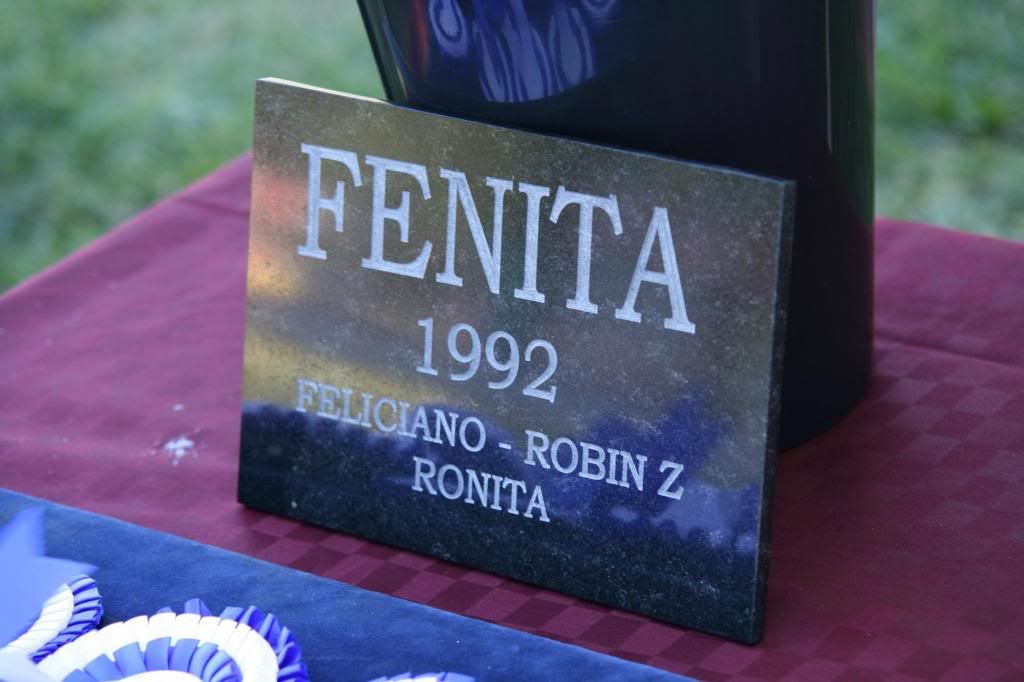 fenita2.jpg