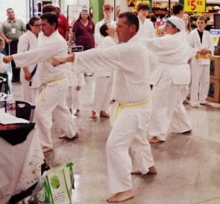 karate demo