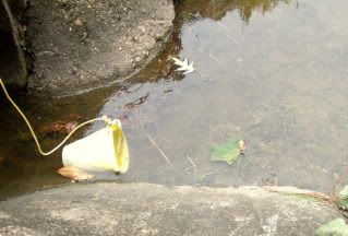 fishing... kinda...