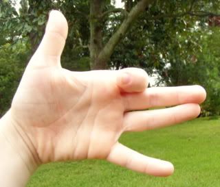 making non-shadow hand puppets... no clue which kid's hand this is...