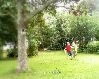 gleefully ignoring the 'No Trespassing' sign, as kids are wont to do...