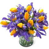 thbb2c.jpg Flowers Birds Butterflies Candles and etc  www.photobucket.com image by jmomoa