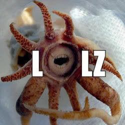 funny-pictures-lol-squidthumbedit.jpg