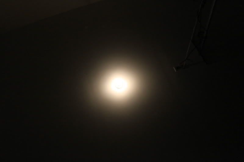 IMG_0749.jpg