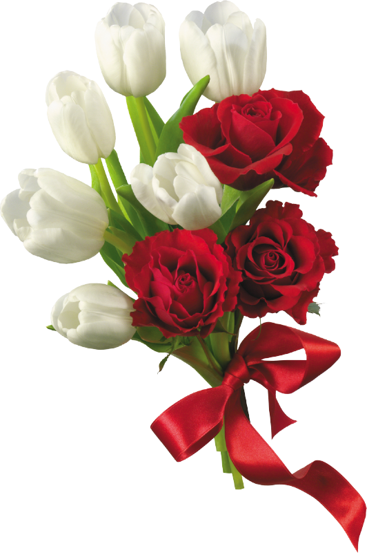 Red+White photo White-Tulips-and-Red-Roses-Flower-Bouquet-PNG-Clipart_zpsox8s2y3f.png