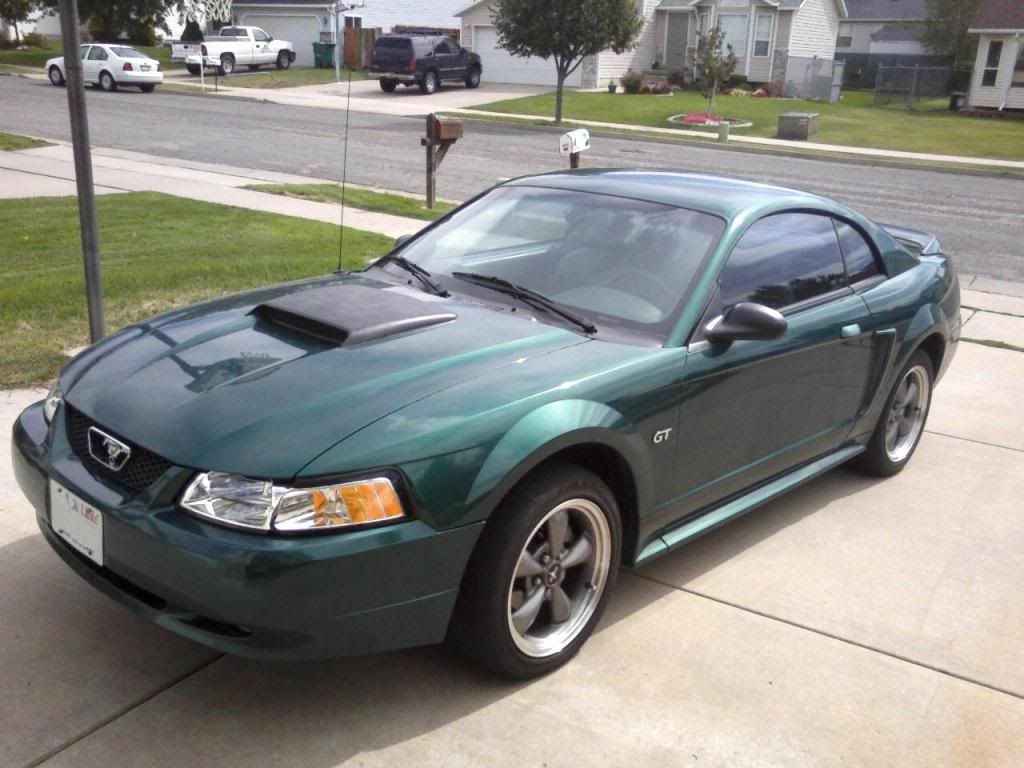 MyMustang1-1.jpg