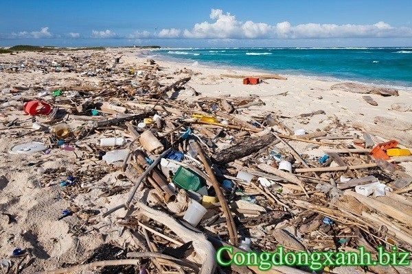 rác thải tại bãi biển
