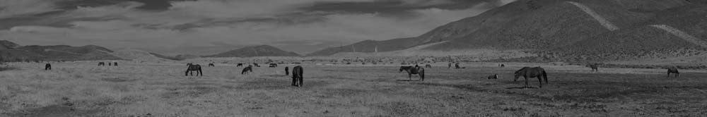  photo Wildhorsepano2_zps4fe1c636.jpg