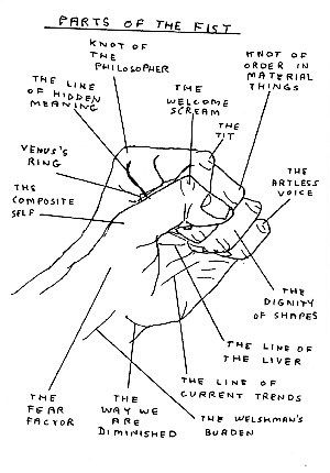 Parts of the fist, David Shrigley