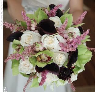 Flowers,Summer,Winter,White