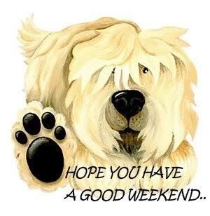 Good weekend Pictures, Images and Photos