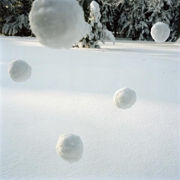 snowball fight Pictures, Images and Photos