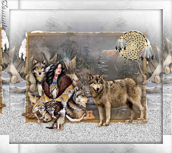 native wolf Pictures, Images and Photos