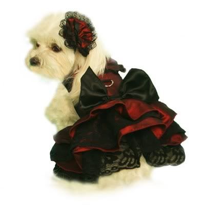 Designer  Clothes on Designer Dog Clothes  Harness Dresses  Dog Dresses  Chacha Couture