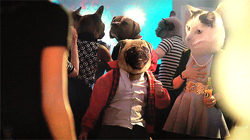 Pug Club Dance Gif photo PugClubDance_zpse9c2a11d.gif