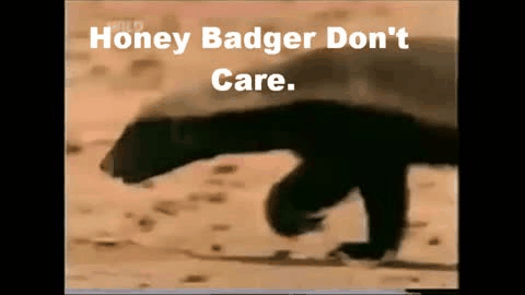 Image result for honey badger don't care animated gif