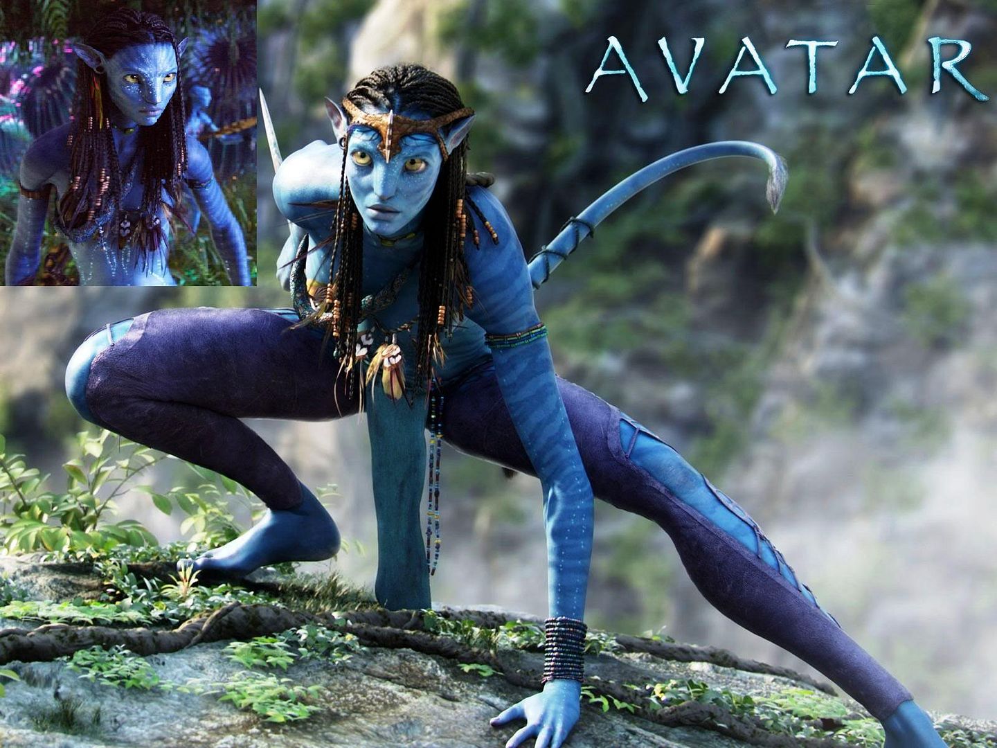 Avatar___Zoe_Saldana.jpg