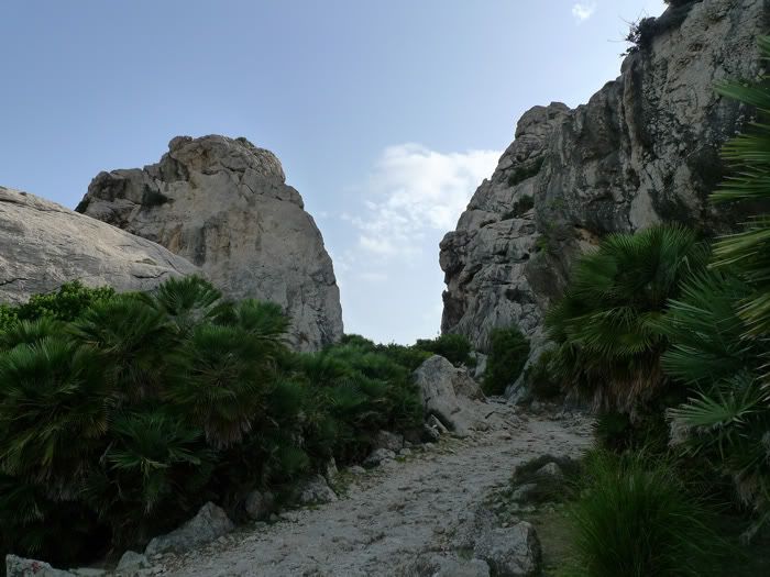 Boquer Valley