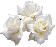 rosesblanchesmf0cl2il.gif Rosa blanca image by felaba