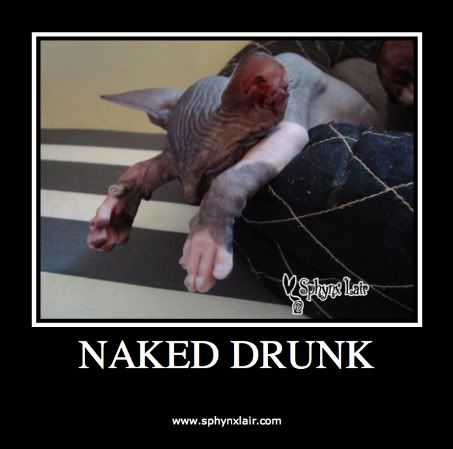 Naked Drunk