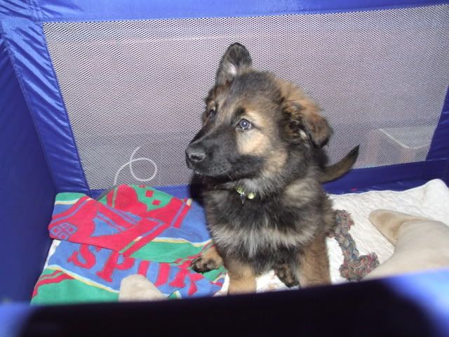 Ella im Babybettchen