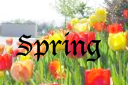 Spring