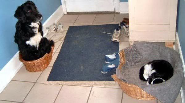 1201105591_7.jpg