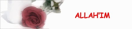 allahimmehmetdemir8vy.gif