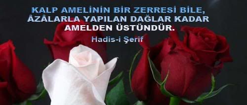 beyazgul1.jpg