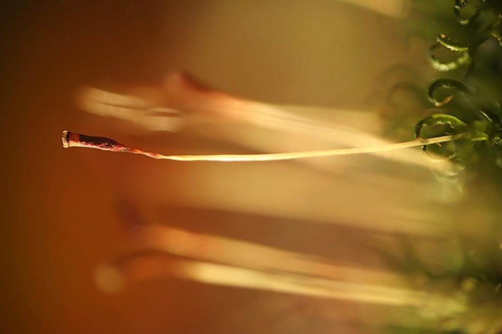 070320089708_13.jpg