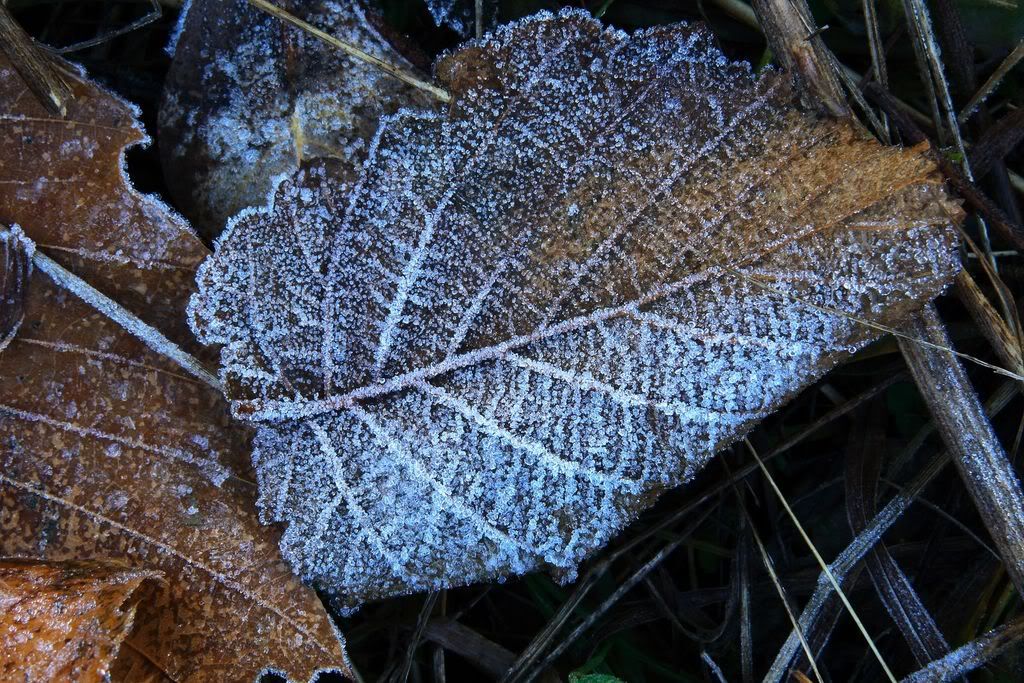 2102200892609_26.jpg