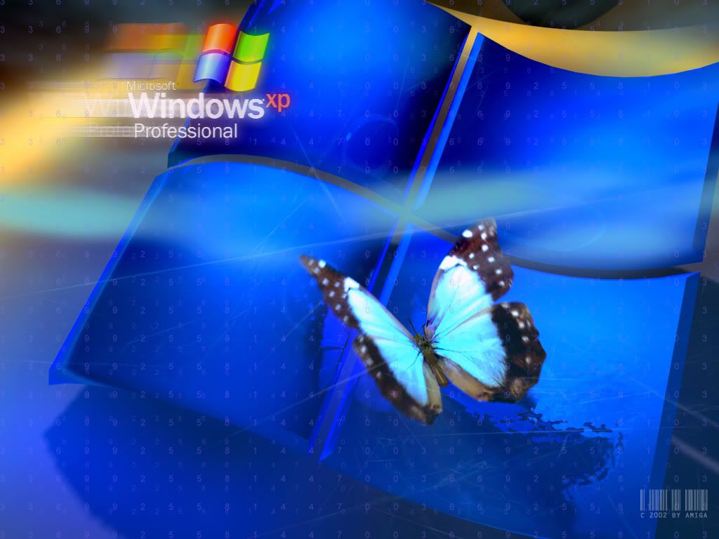 Night_Flight.jpg