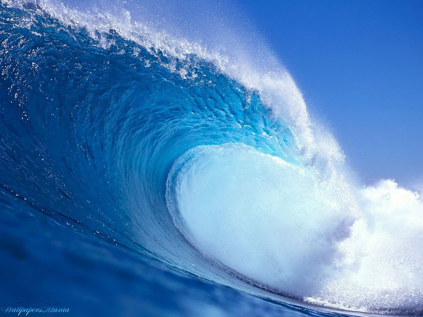 WallpapersMania_vol30-010.jpg