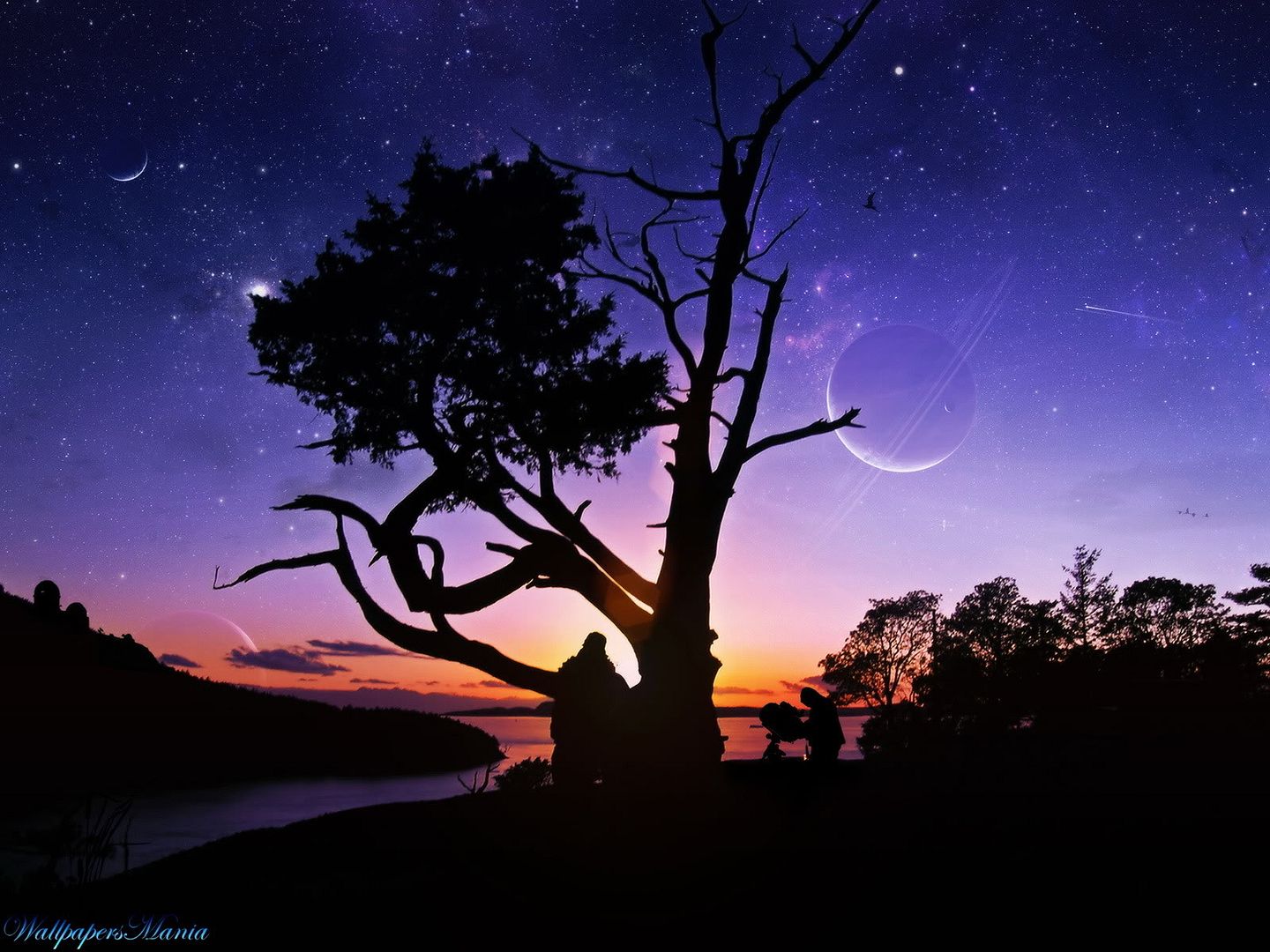 WallpapersMania_vol30-016.jpg